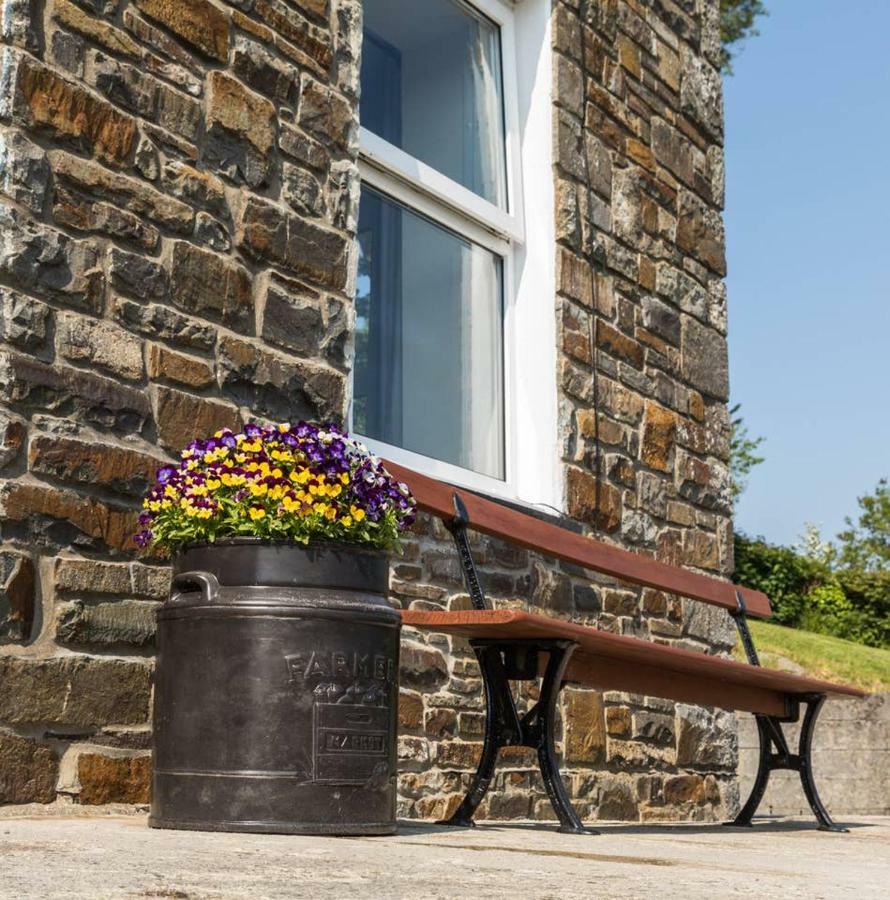 Ffyllon Fawr Villa Henfynyw Upper Dış mekan fotoğraf